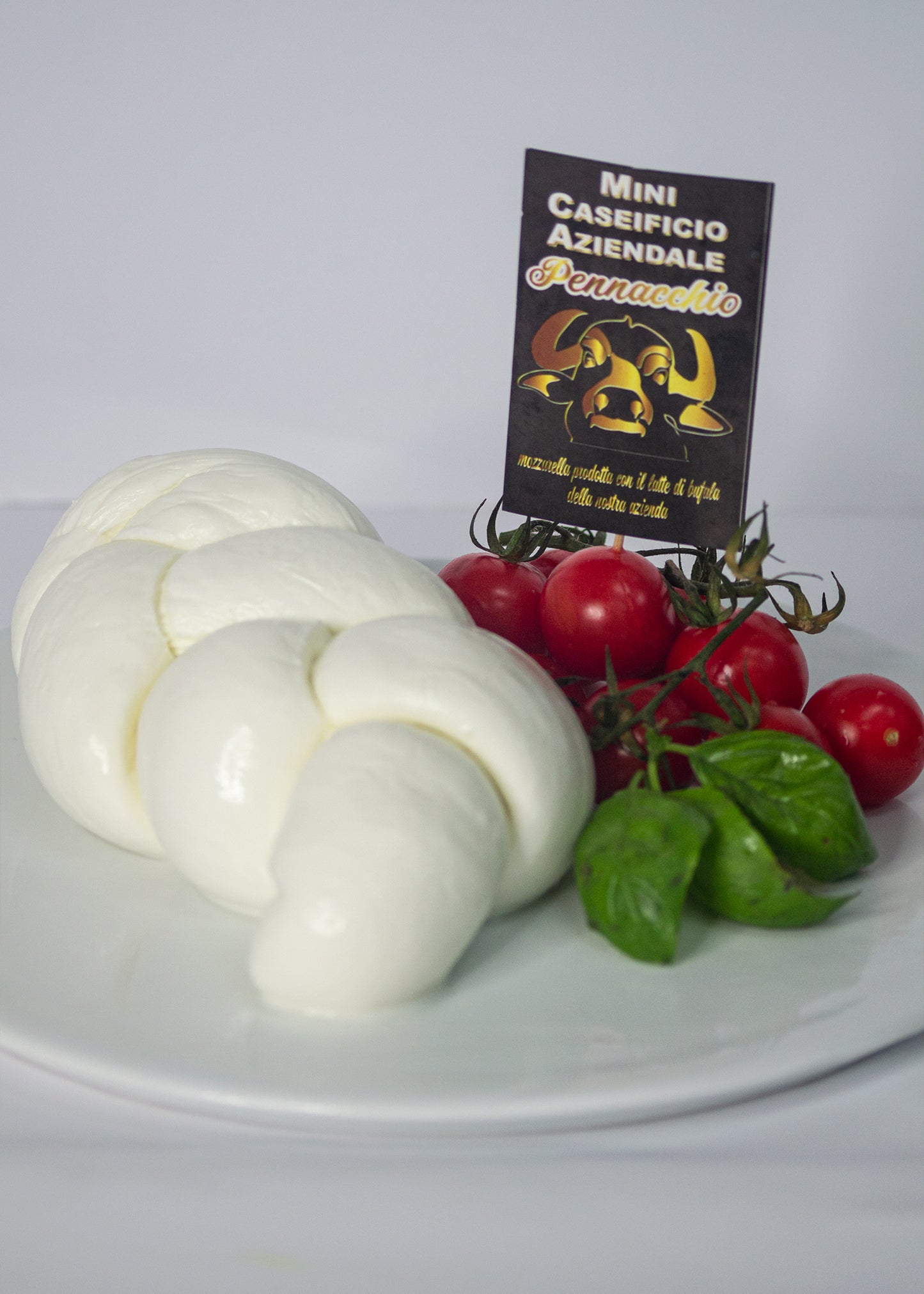 TRECCE E TRECCINE DI MOZZARELLA DA 250 GR A 5KG
