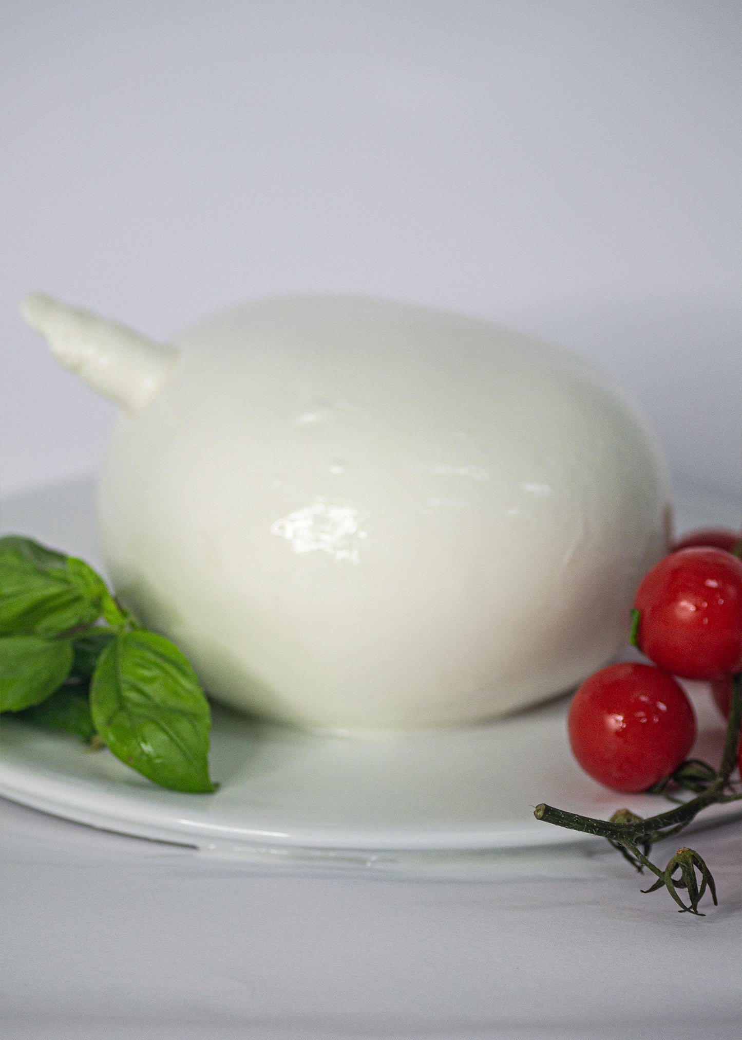 Mozzarella 100% latte di bufala porzione ZIZZA